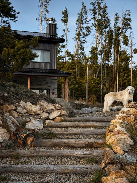 Tiny photo for 270 Theodosia Lane, Anaconda, MT 59711 (MLS # 30071446)