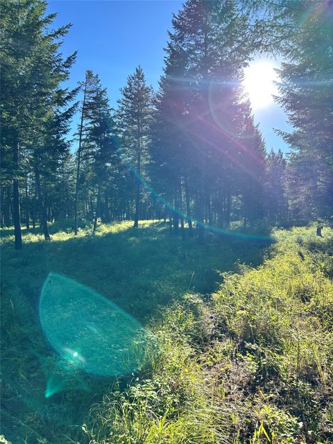 Tiny photo for TBD Eagle Run Drive, Whitefish, MT 59937 (MLS # 30063970)