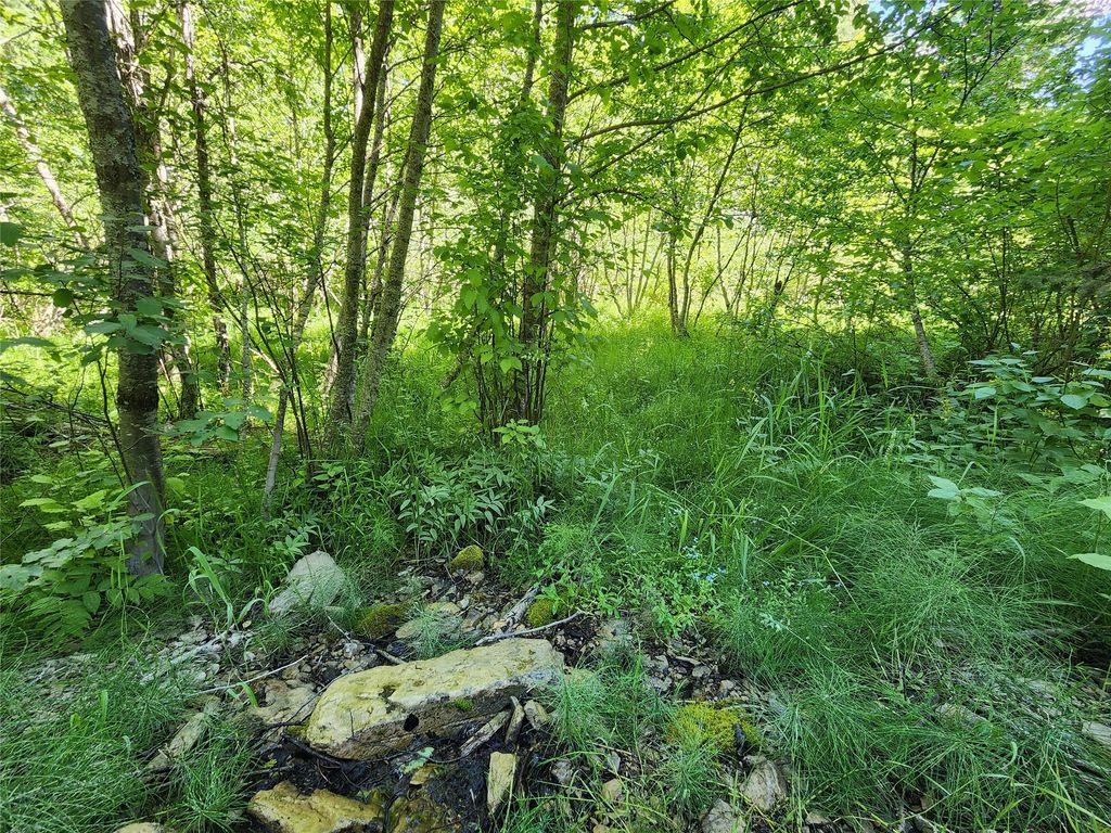 Photo of NHN Silver Butte Road, Libby, MT 59923 (MLS # 30061821)