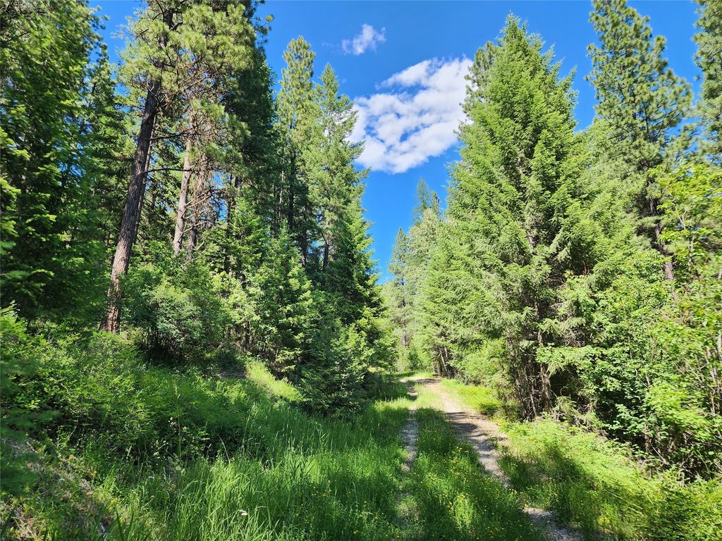 Photo of NHN Silver Butte Road, Libby, MT 59923 (MLS # 30061821)