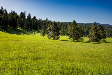 Tiny photo for NHN Northshore Drive #Lot 46, Bigfork, MT 59911 (MLS # 30076169)