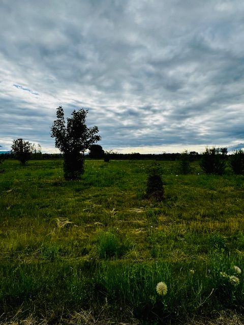 Photo of 389 Jefferson Street, Kalispell, MT 59901 (MLS # 30054378)