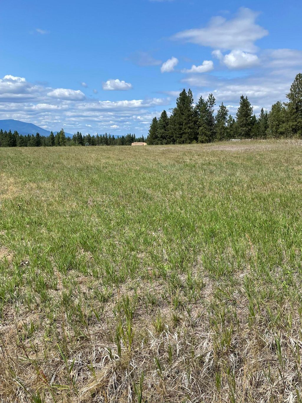 Photo of 286 Wilderness Club Drive, Eureka, MT 59917 (MLS # 30069097)