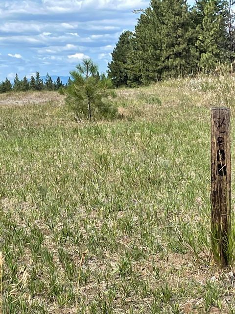 Tiny photo for 286 Wilderness Club Drive, Eureka, MT 59917 (MLS # 30069097)