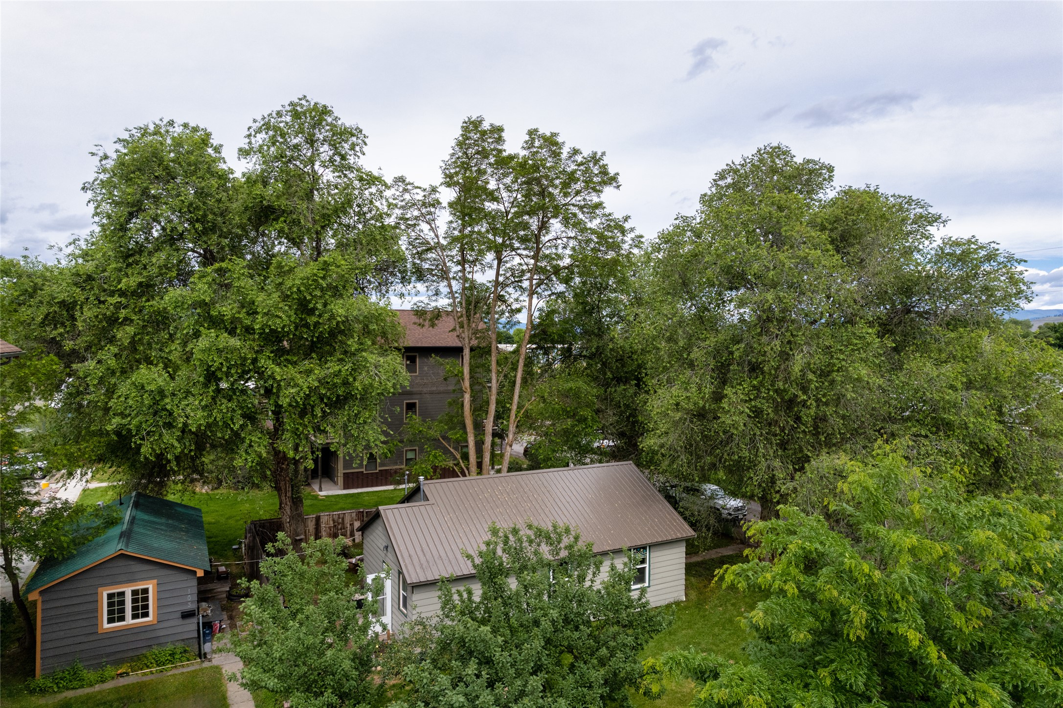 Bird's eye view of a tree filled landscape
