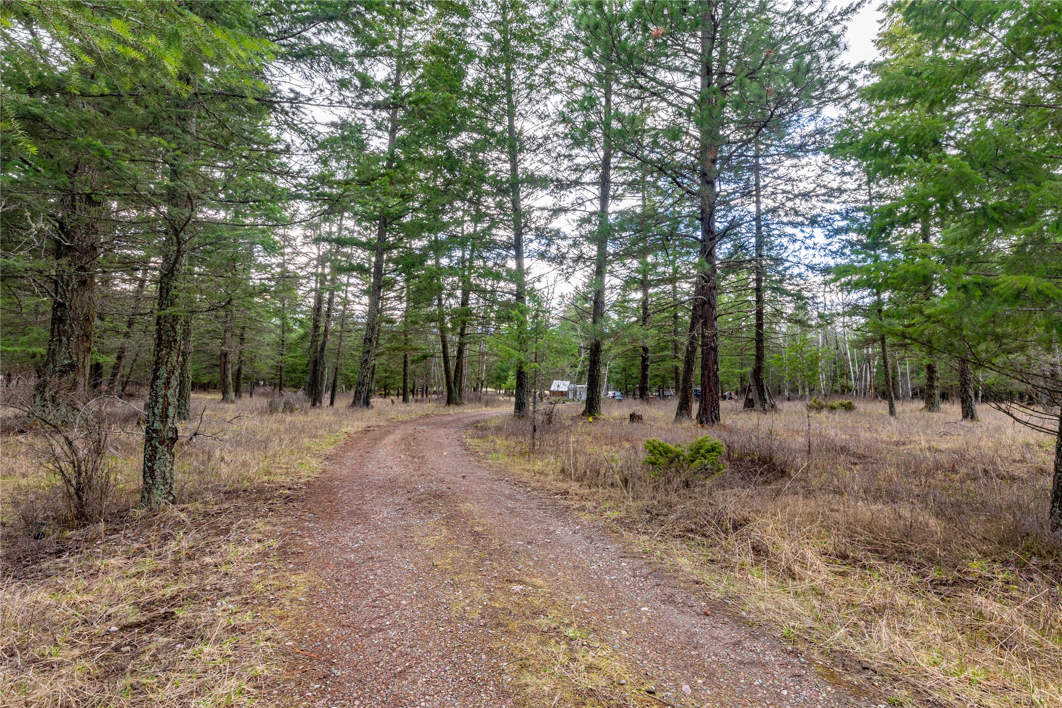 39097 Minesinger Lane