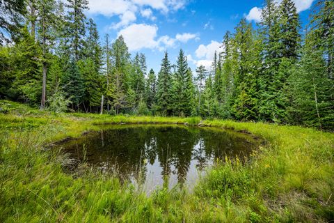 Tiny photo for 90 Woodland Star Circle, Whitefish, MT 59937 (MLS # 30055379)