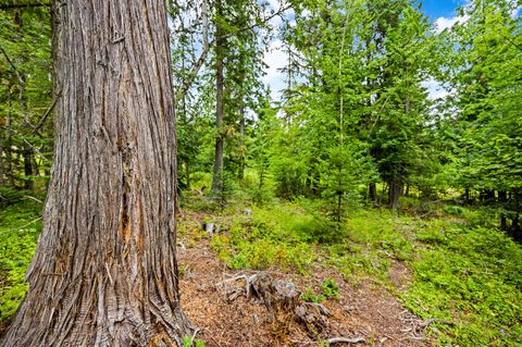 Tiny photo for 90 Woodland Star Circle, Whitefish, MT 59937 (MLS # 30055379)