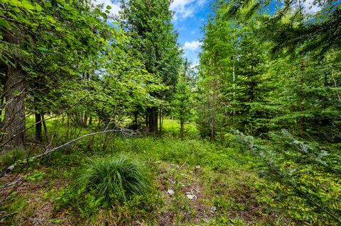 Tiny photo for 90 Woodland Star Circle, Whitefish, MT 59937 (MLS # 30055379)