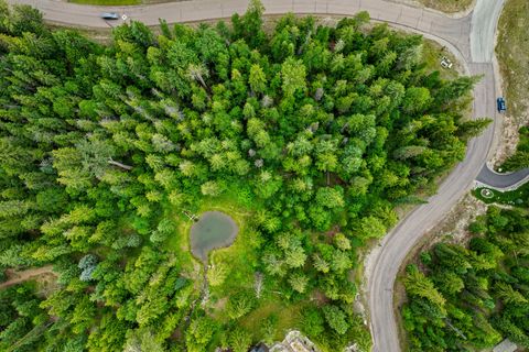 Tiny photo for 90 Woodland Star Circle, Whitefish, MT 59937 (MLS # 30055379)