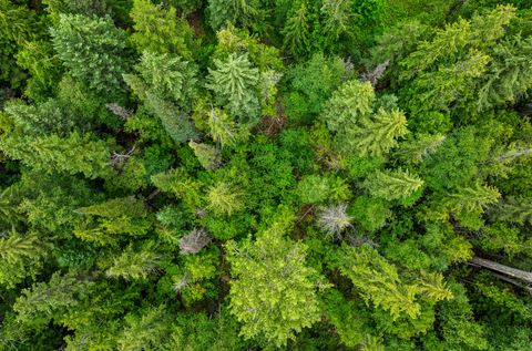 Tiny photo for 90 Woodland Star Circle, Whitefish, MT 59937 (MLS # 30055379)