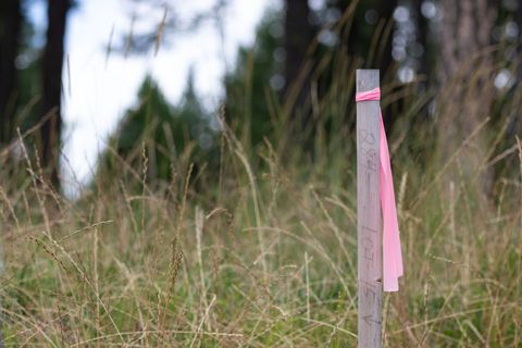 Tiny photo for 182 Rosewood Lane #Lot 15, Whitefish, MT 59937 (MLS # 30053502)