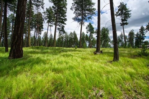 Photo of 182 Rosewood Lane #Lot 15, Whitefish, MT 59937 (MLS # 30053502)