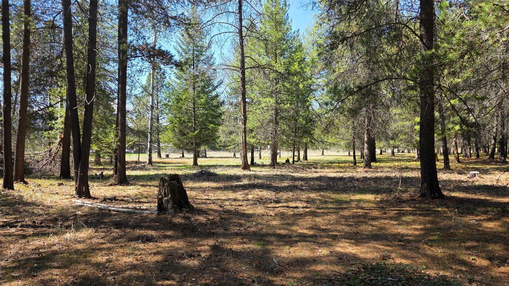 Photo of 143 Horizon Drive, Libby, MT 59923 (MLS # 30067764)