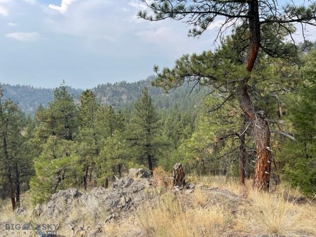 TBD Mountain Home Lane