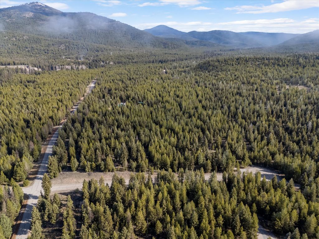 Photo of 107 E Minnow Court, Libby, MT 59923 (MLS # 30060804)