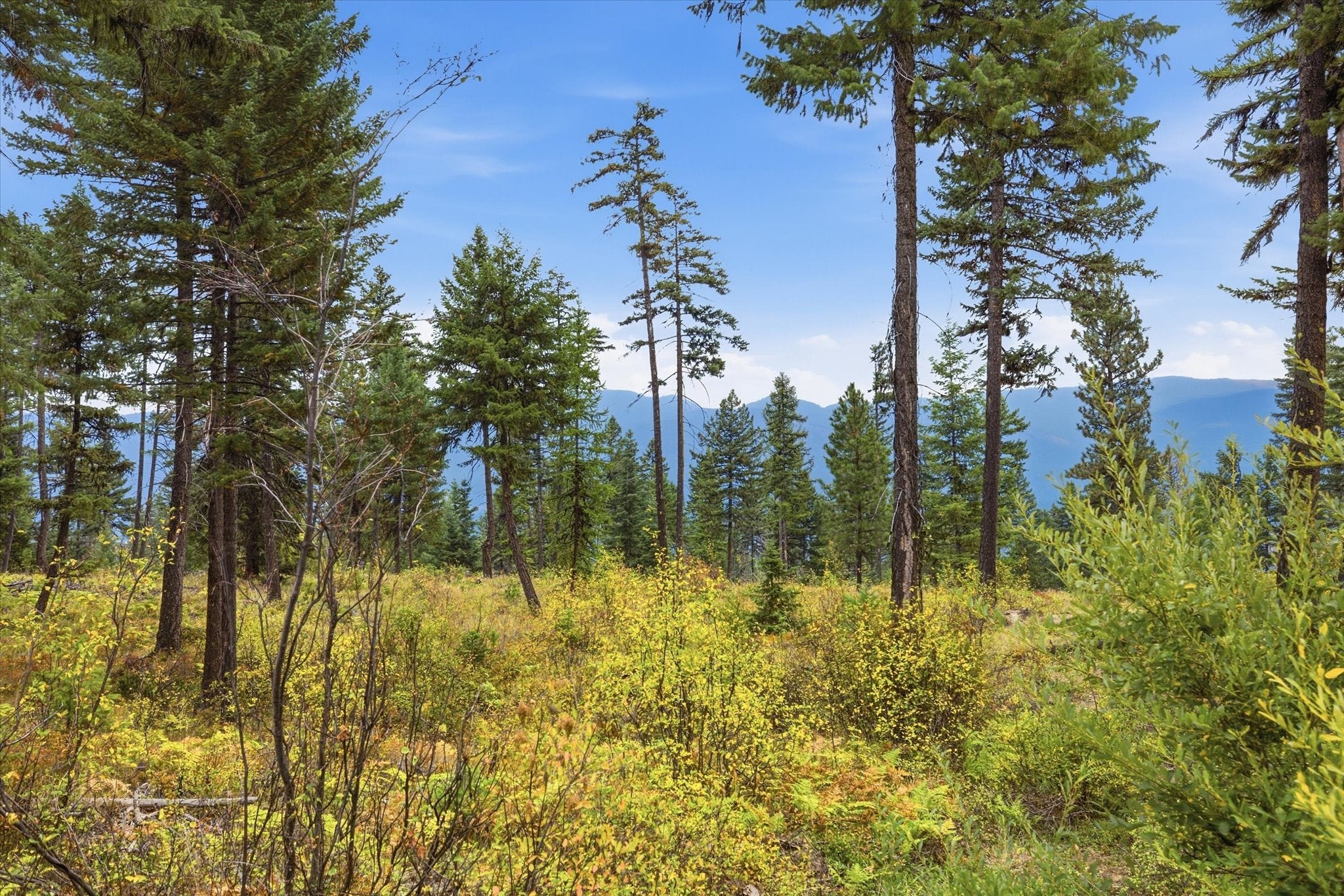 1401 Panoramic View Drive