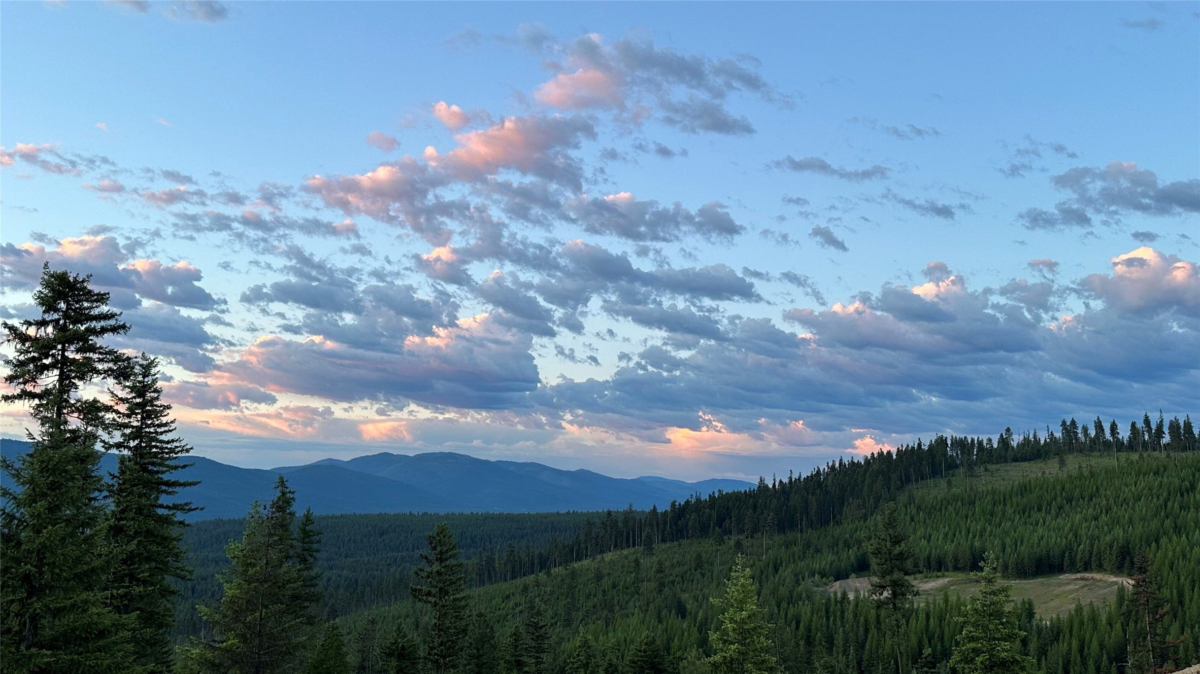 1401 Panoramic View Drive