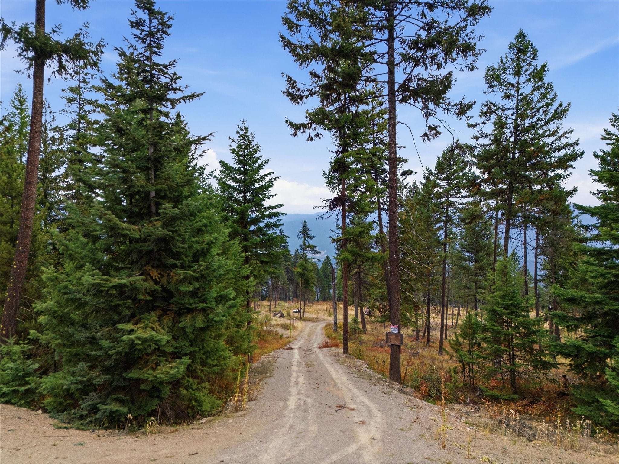 1401 Panoramic View Drive