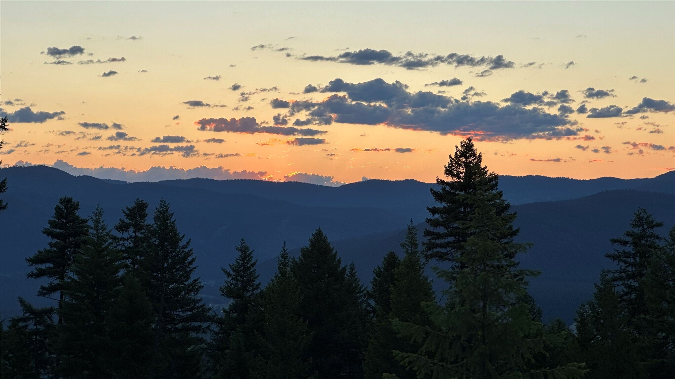 1401 Panoramic View Drive