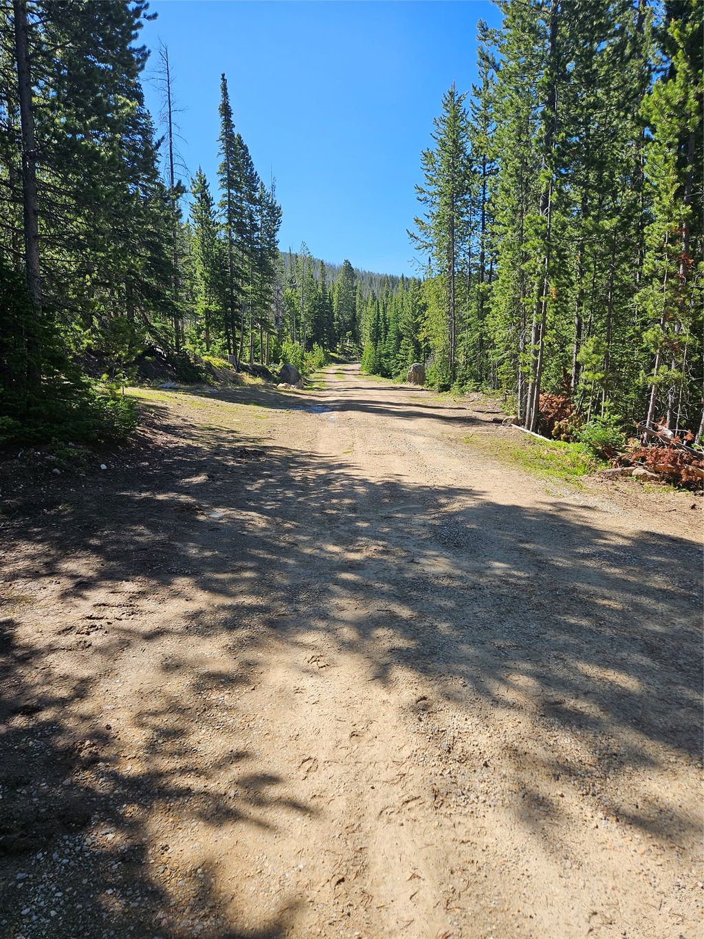 Photo of 7524 Lower Telegraph Creek Road, Elliston, MT 59728 (MLS # 30069443)