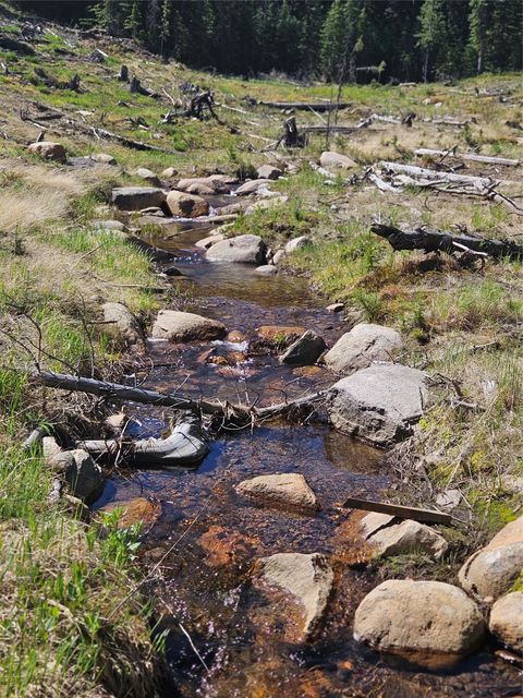 Tiny photo for 7524 Lower Telegraph Creek Road, Elliston, MT 59728 (MLS # 30069443)