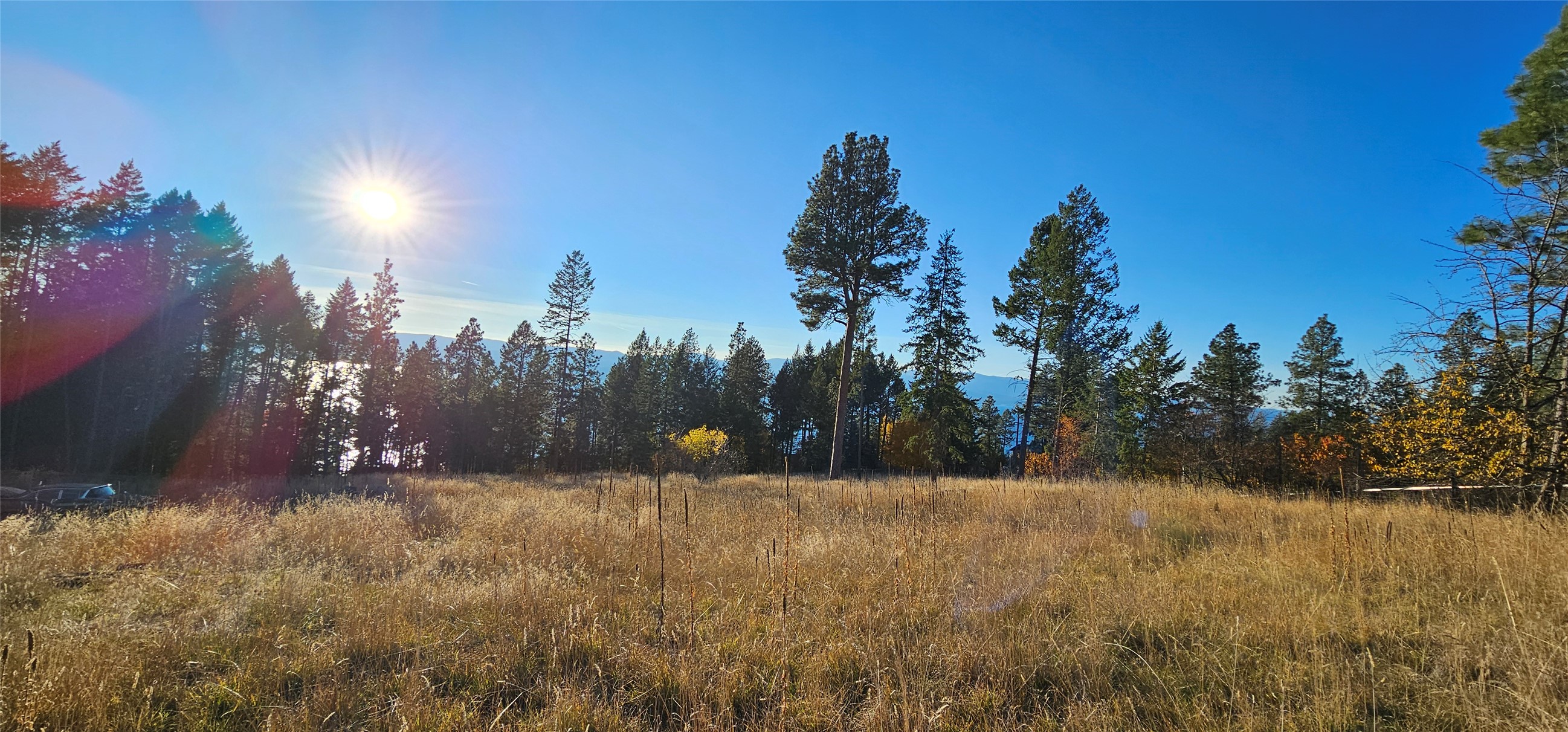 Bigfork, Montana 59911, United States, ,Land,Active,32293
