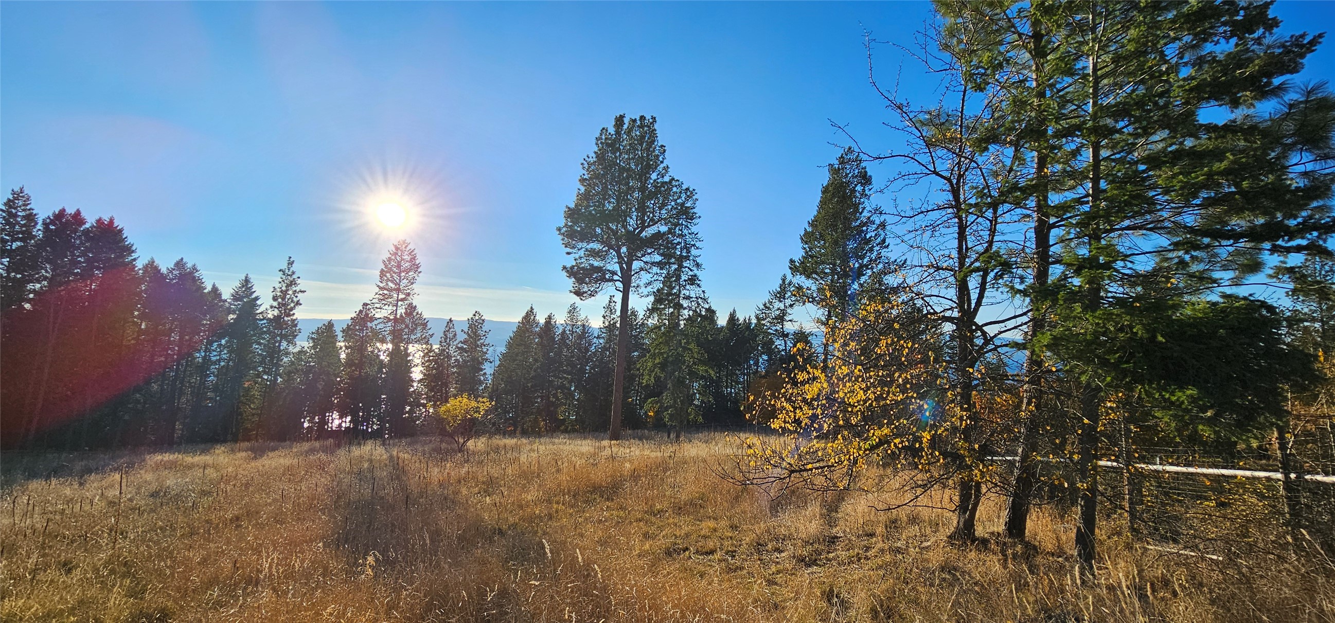 Bigfork, Montana 59911, United States, ,Land,Active,32293