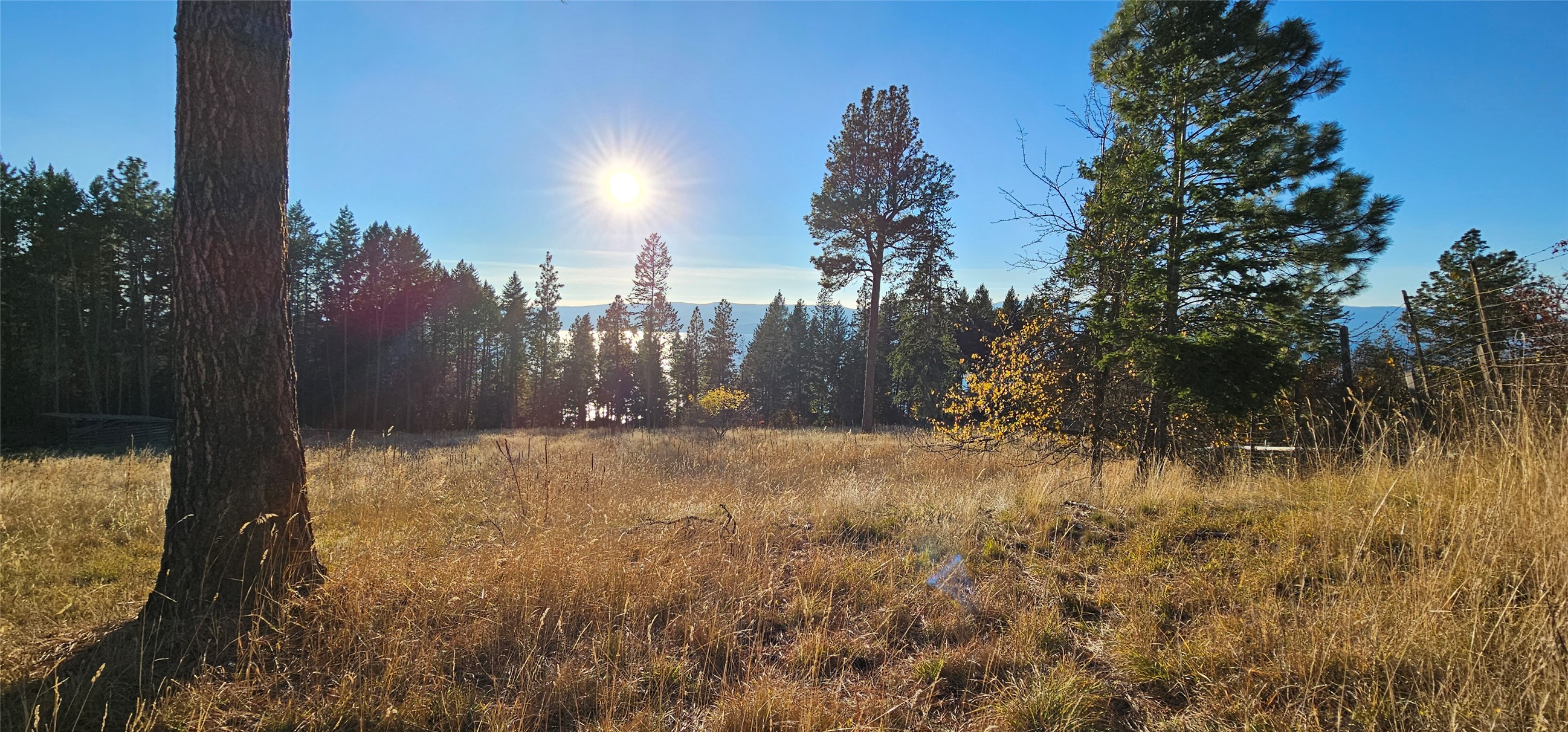 Bigfork, Montana 59911, United States, ,Land,Active,32293