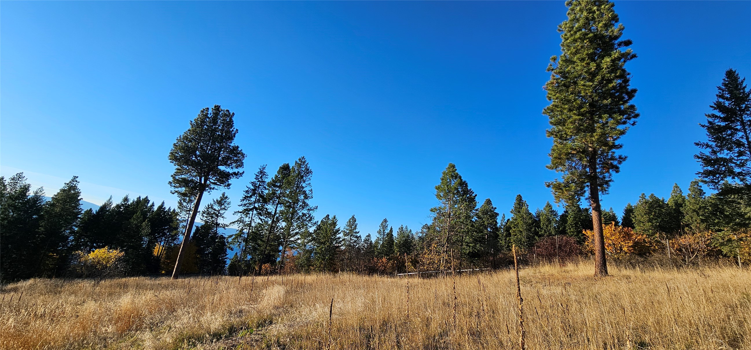 Bigfork, Montana 59911, United States, ,Land,Active,32293