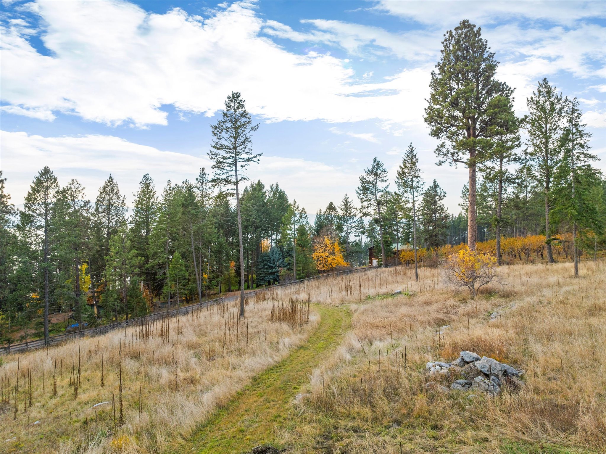 Bigfork, Montana 59911, United States, ,Land,Active,32293