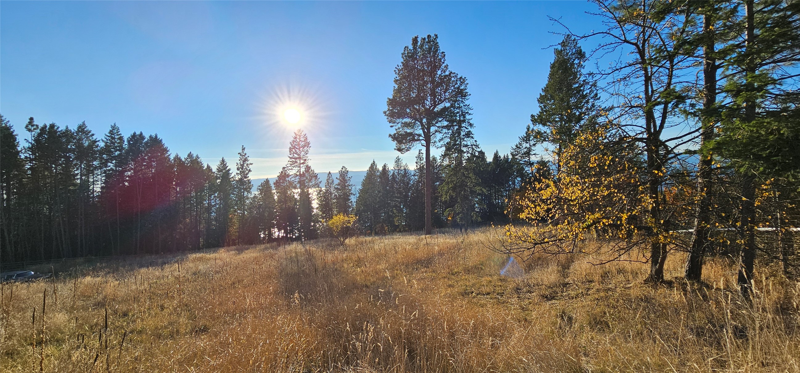 Bigfork, Montana 59911, United States, ,Land,Active,32293