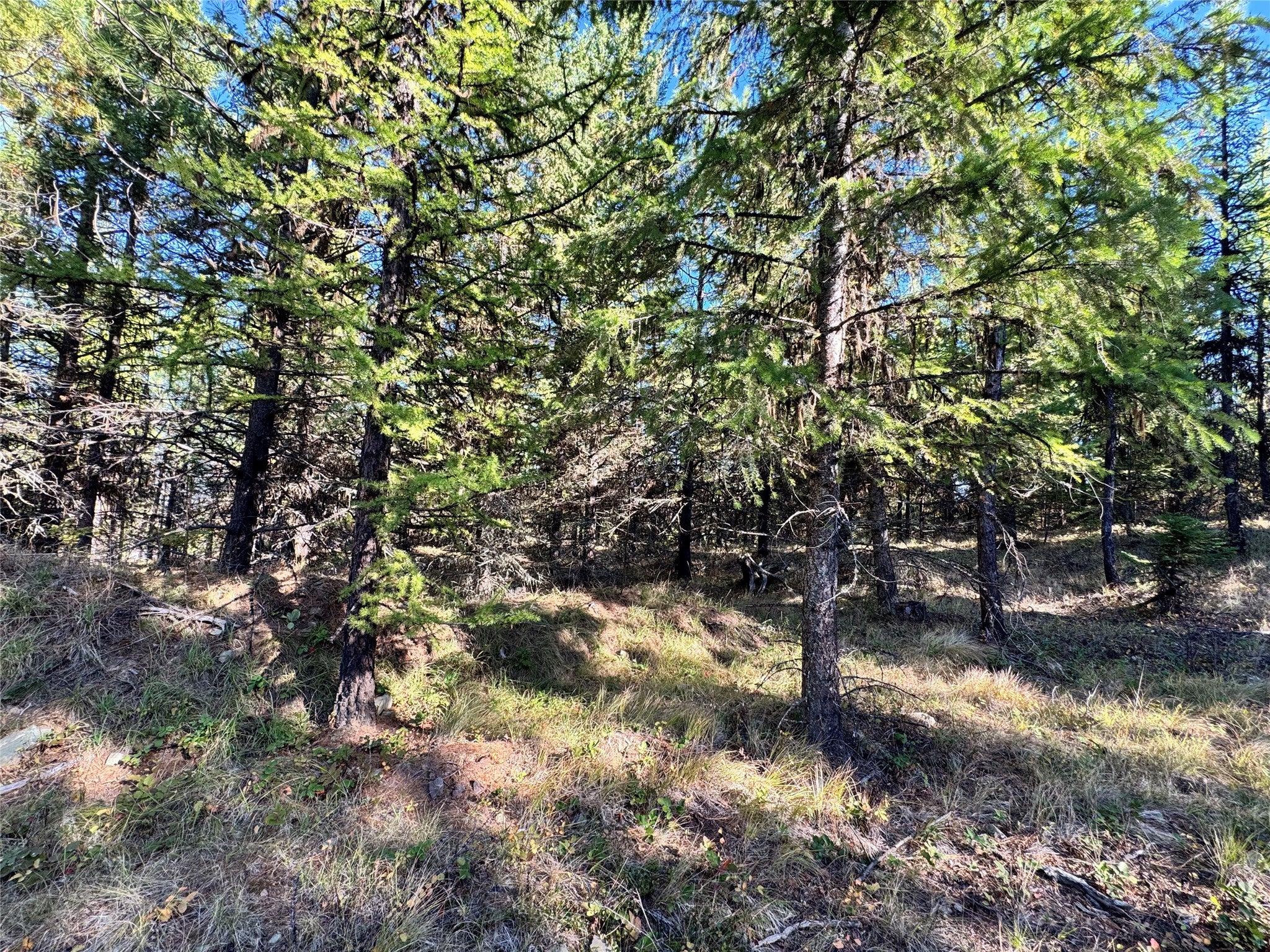 Lot 6 Panoramic View