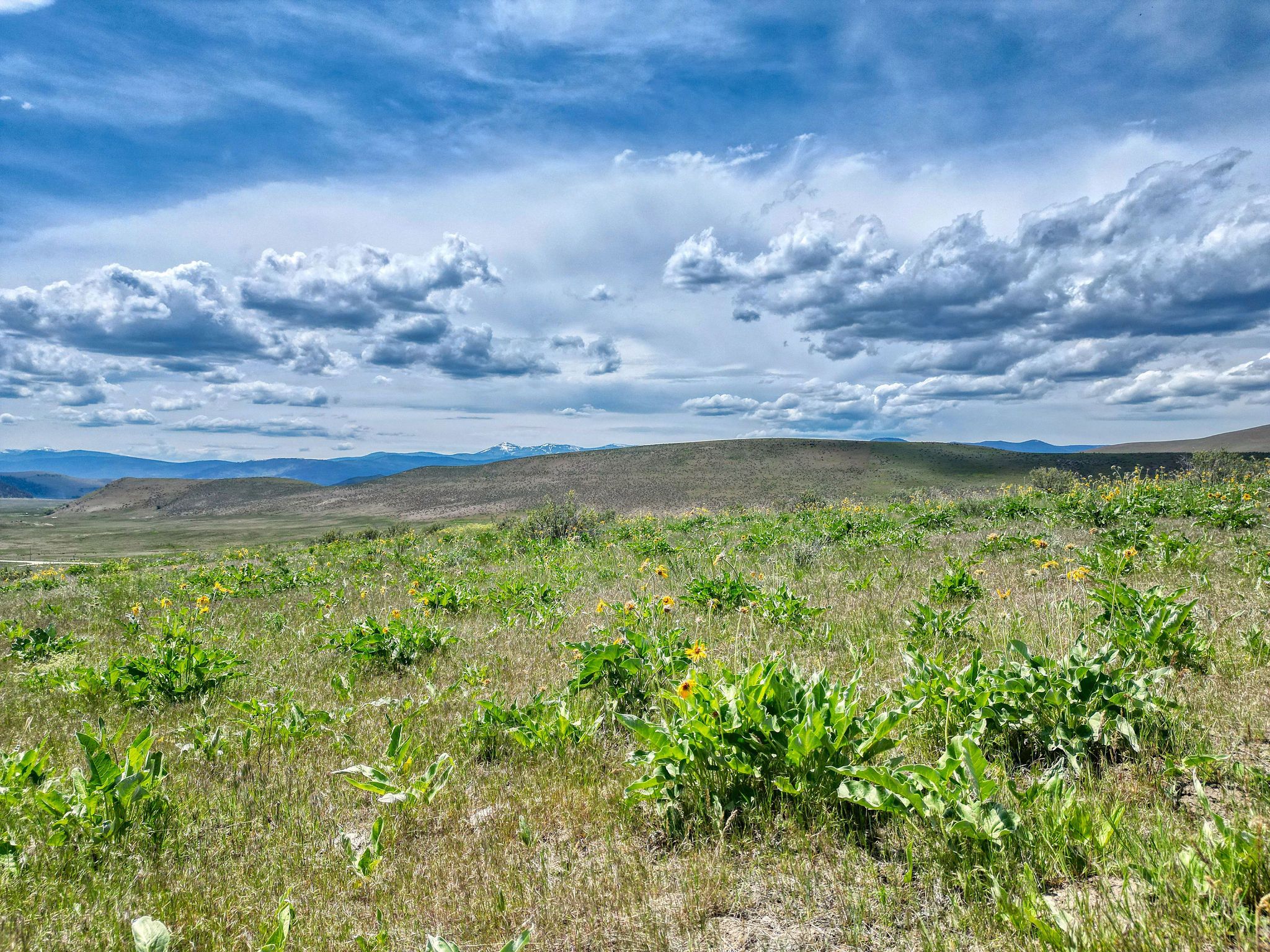 7800 Browns Meadow Road