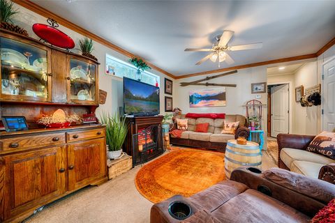 Tiny photo for 291 River Road W, Plains, MT 59859 (MLS # 30069740)