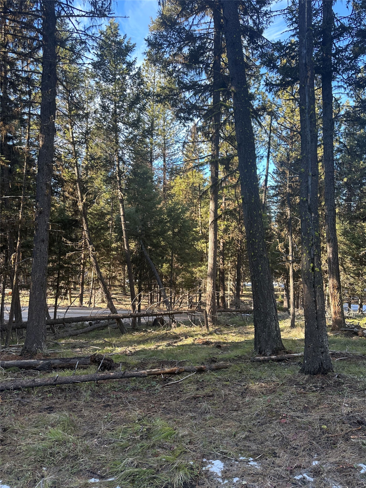 1274 Grandview Drive