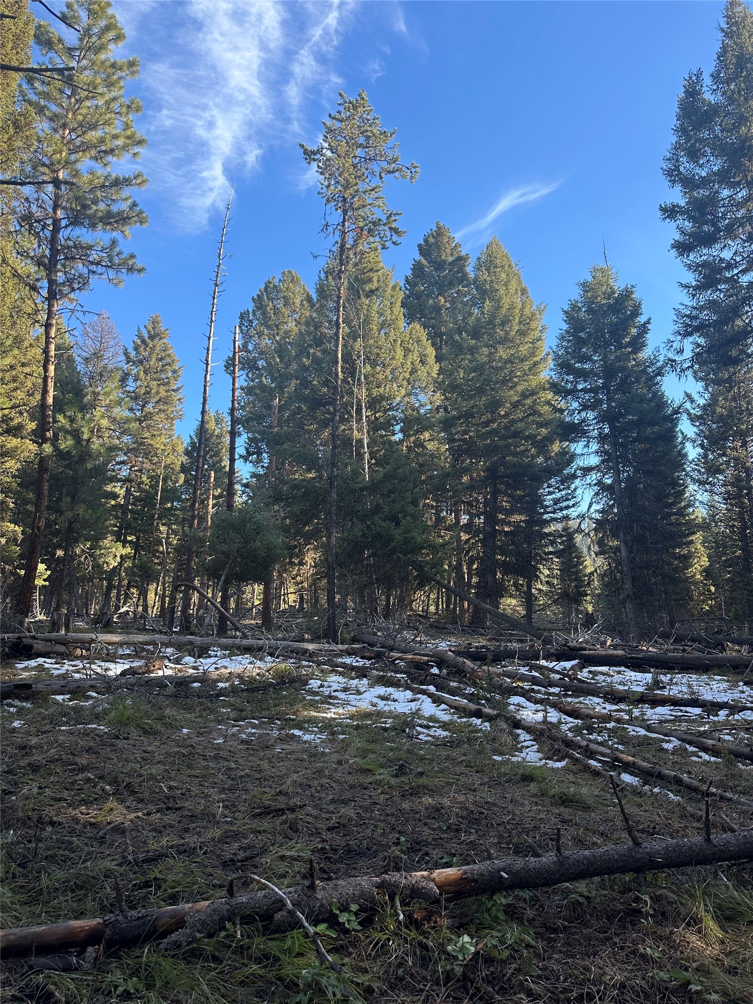 1274 Grandview Drive