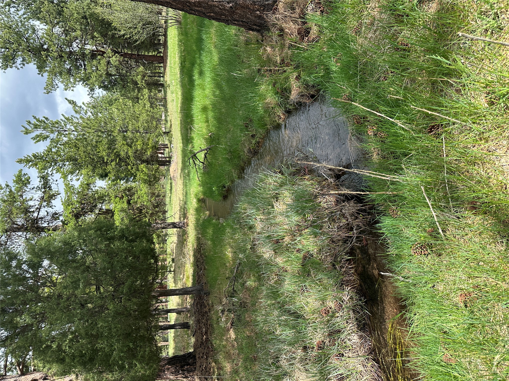 170 Drew Creek Loop