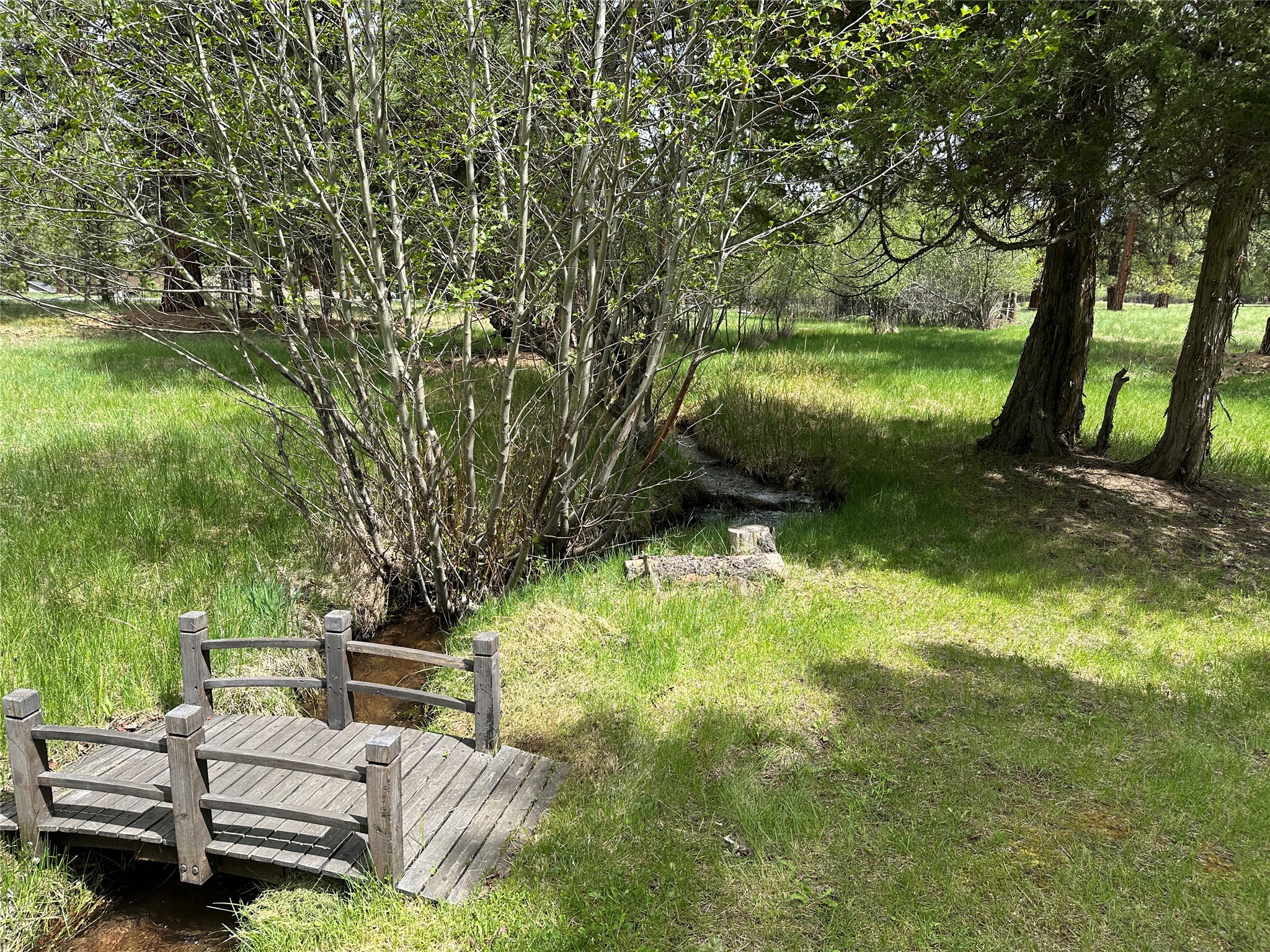 170 Drew Creek Loop