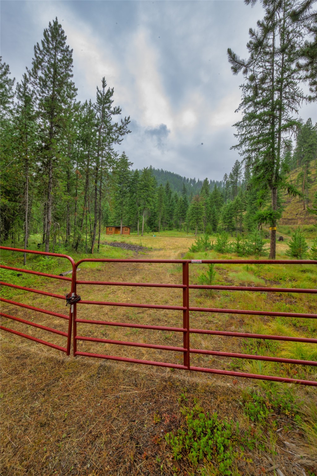 NHN Cabin City Loop Lot 52