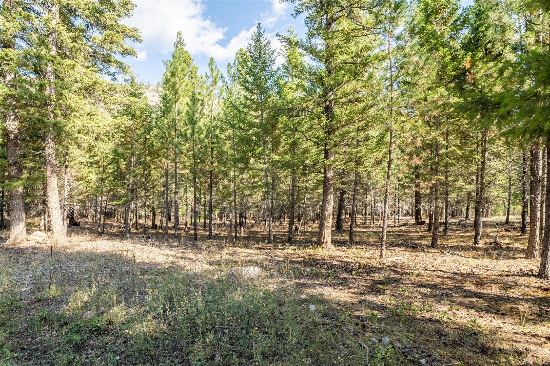 Lot 2 Caddisfly Court