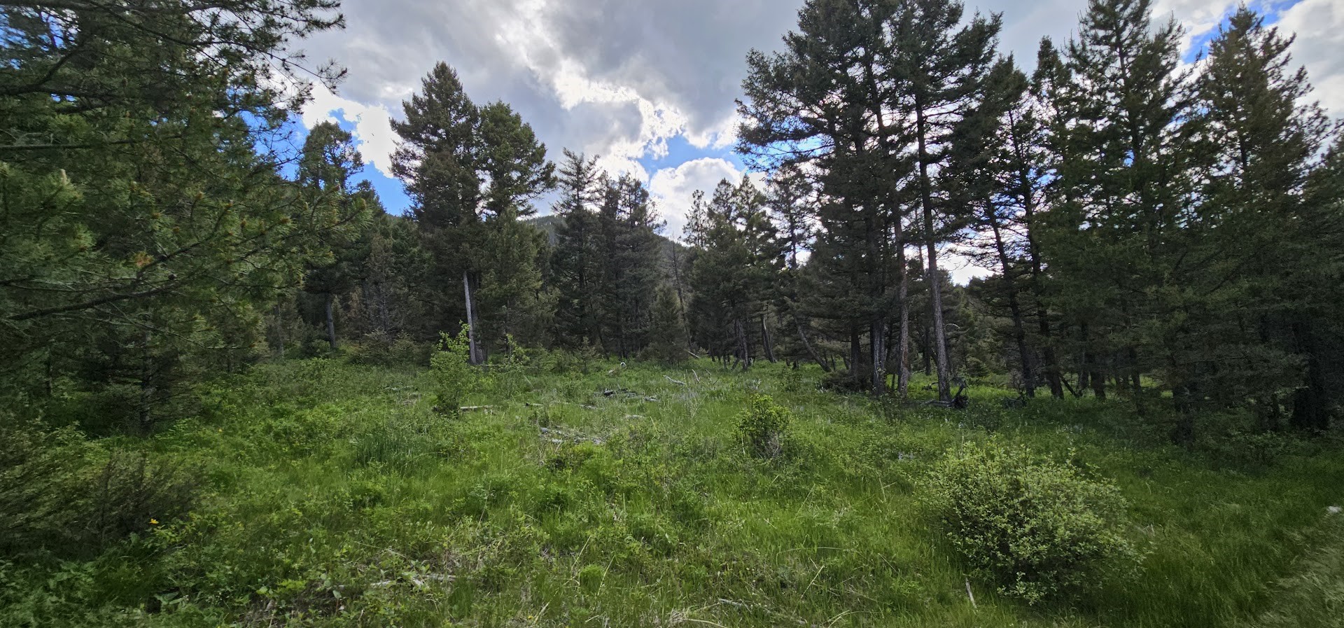 11 Tract, Hall Creek