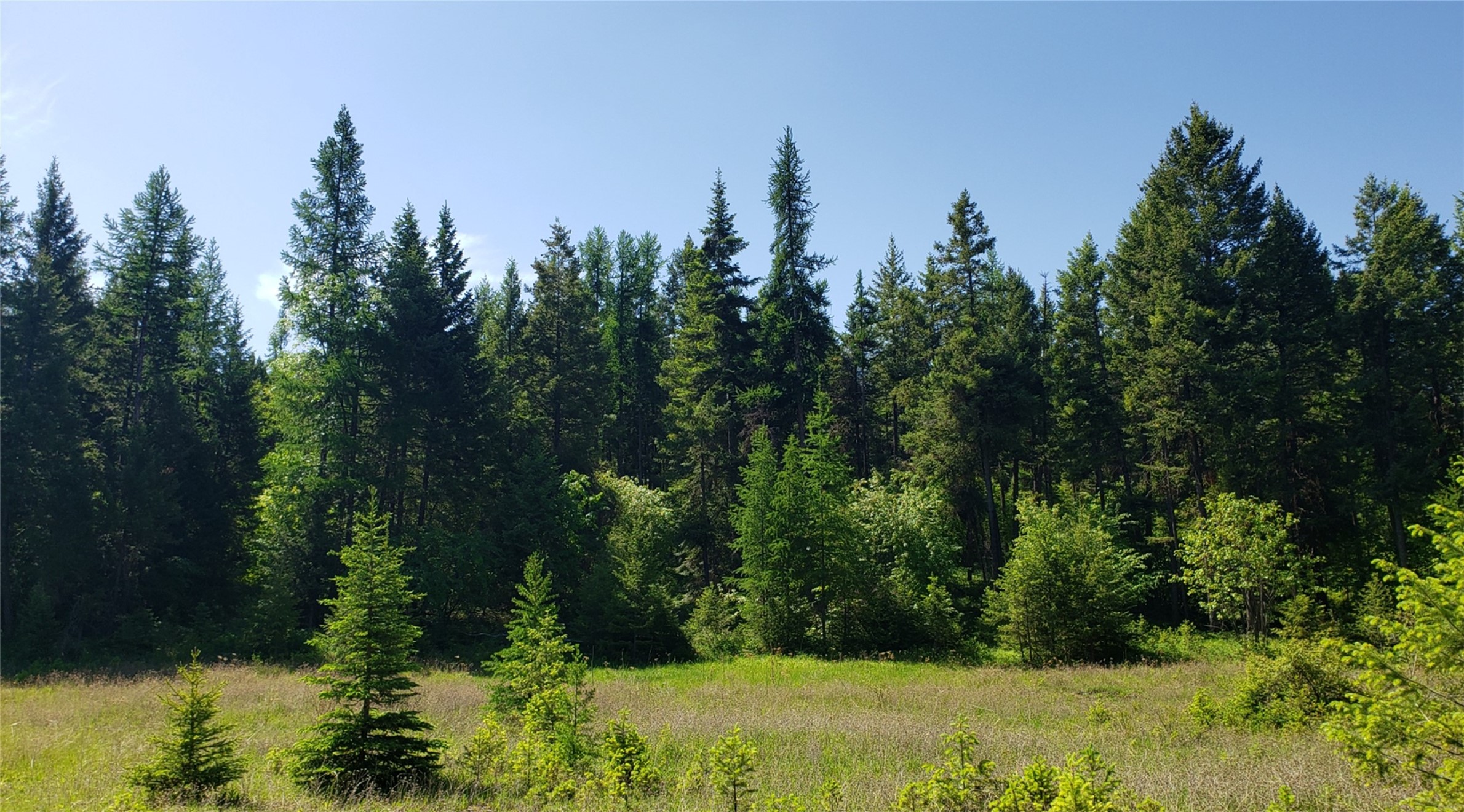 500 Blacktail Heights Road