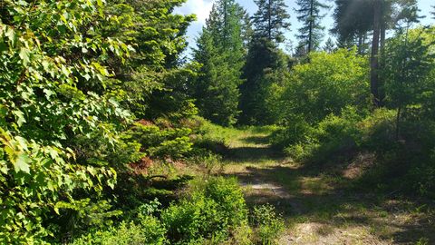 500 Blacktail Heights Road Lakeside MT 59922