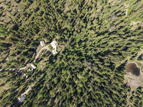 Tiny photo for 566 Remicks Road, Condon, MT 59826 (MLS # 30071373)