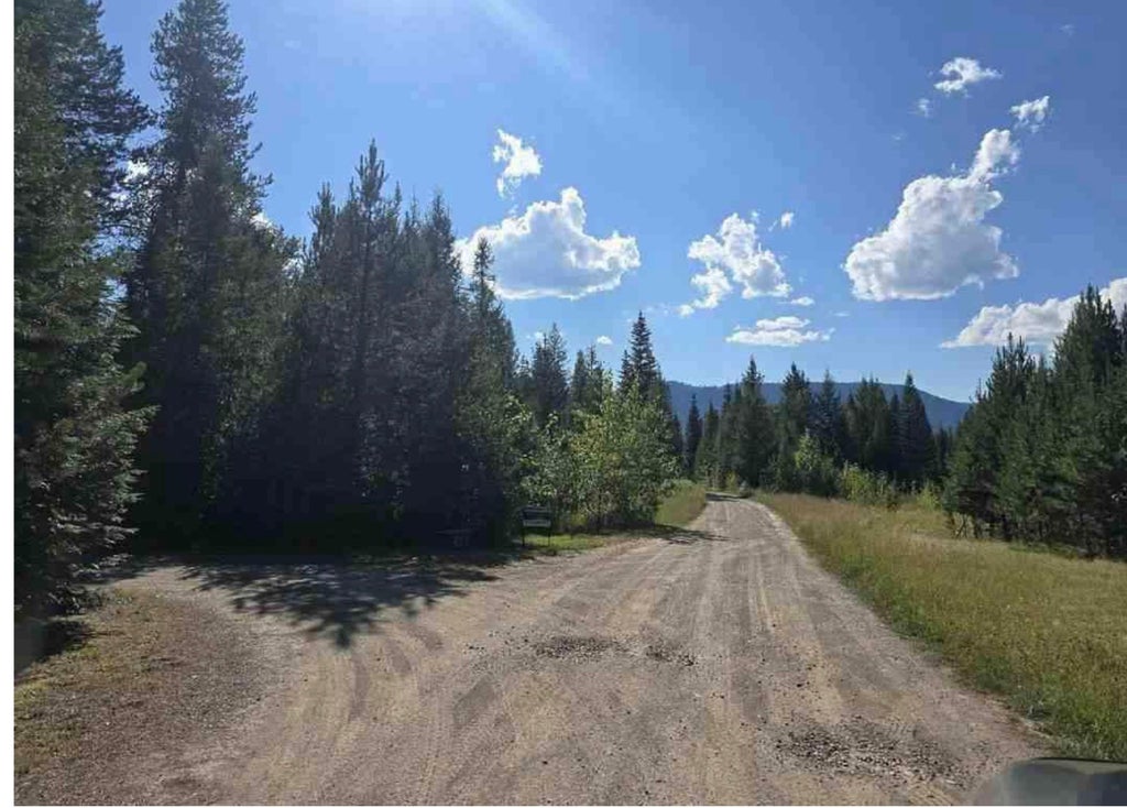 Photo of 151 Twin Creek Drive, Troy, MT 59935 (MLS # 30079058)