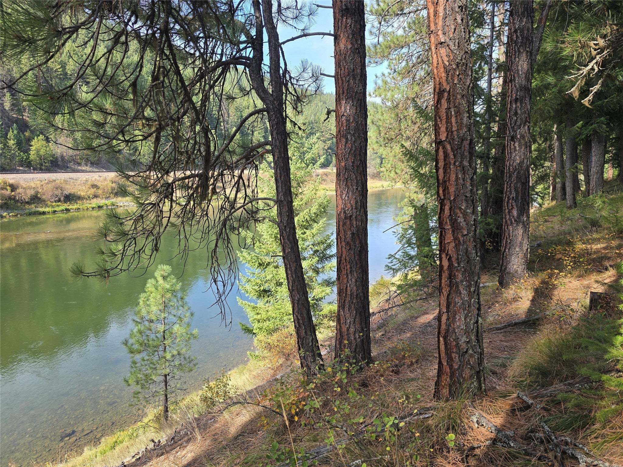 NHN Trestle Creek Drive