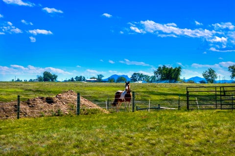 Tiny photo for 20 Kamloops Road, Power, MT 59468 (MLS # 30072648)