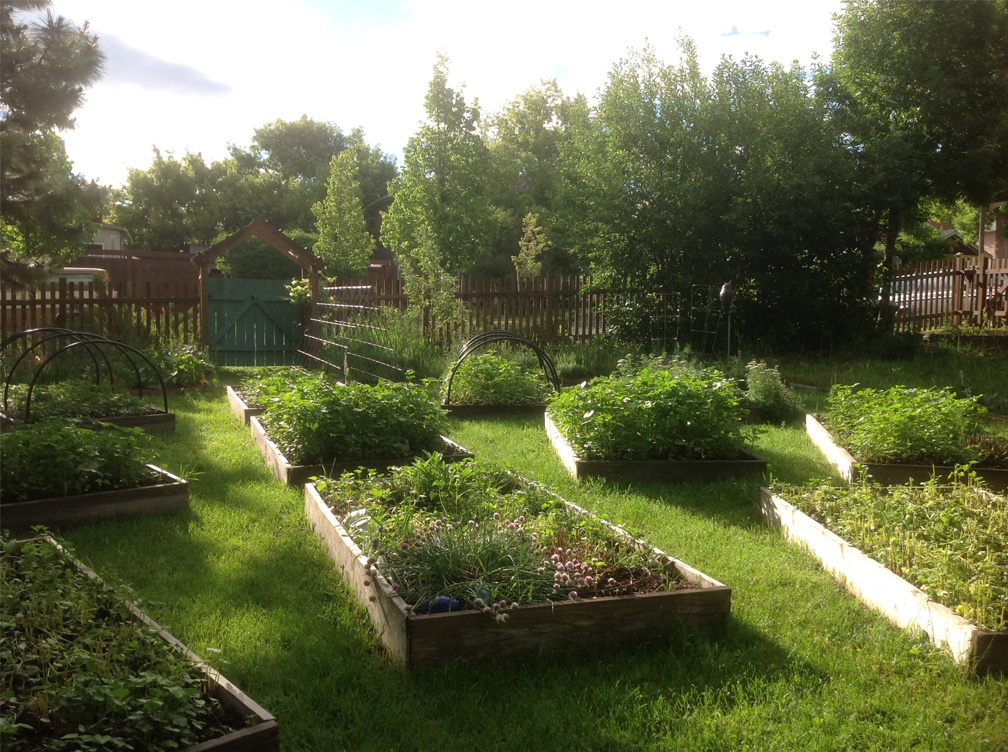 Helena, Montana 59601, United States, 4 Bedrooms Bedrooms, ,3 BathroomsBathrooms,Residential,Pending,26343