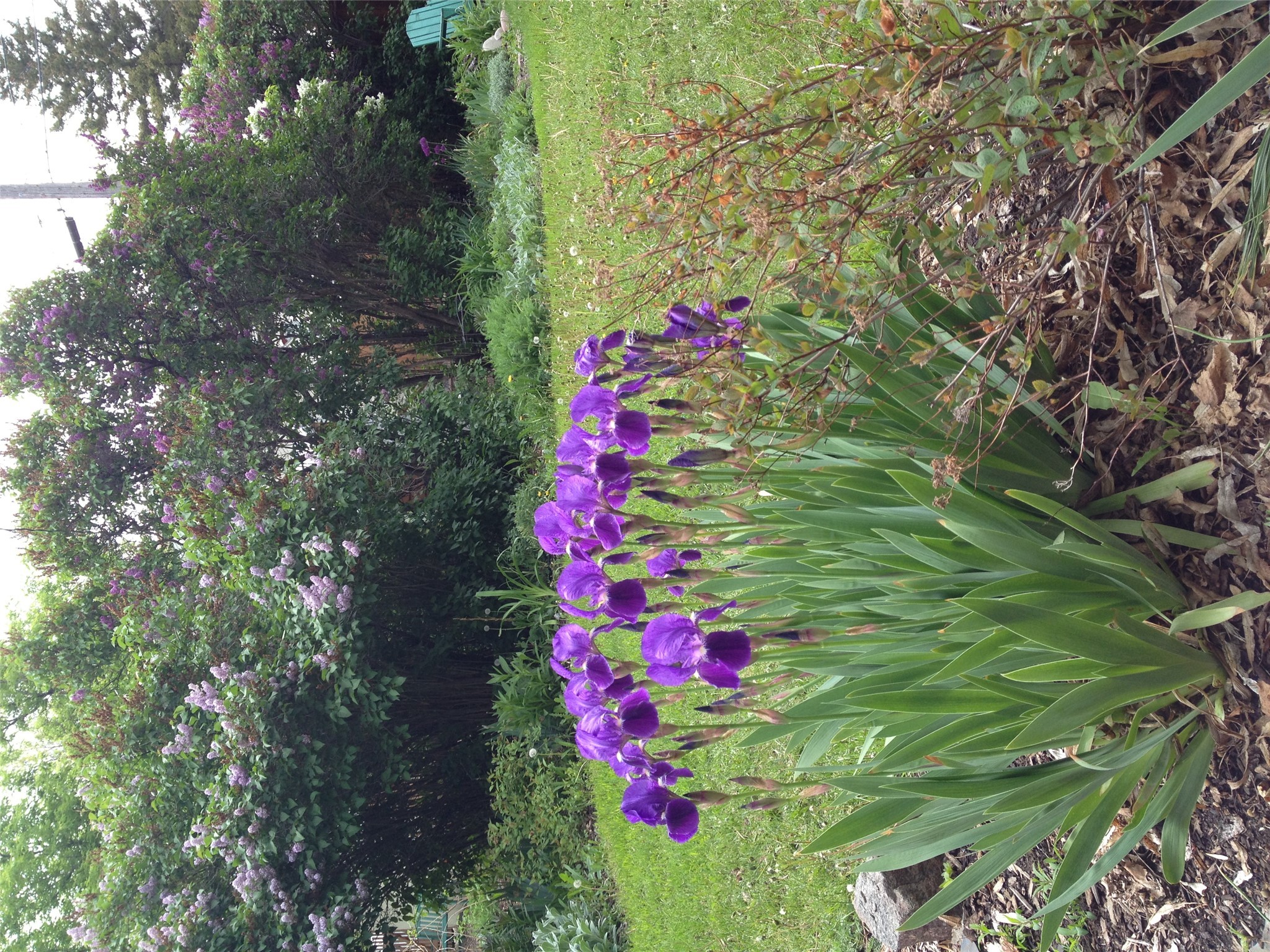 Helena, Montana 59601, United States, 4 Bedrooms Bedrooms, ,3 BathroomsBathrooms,Residential,Pending,26343